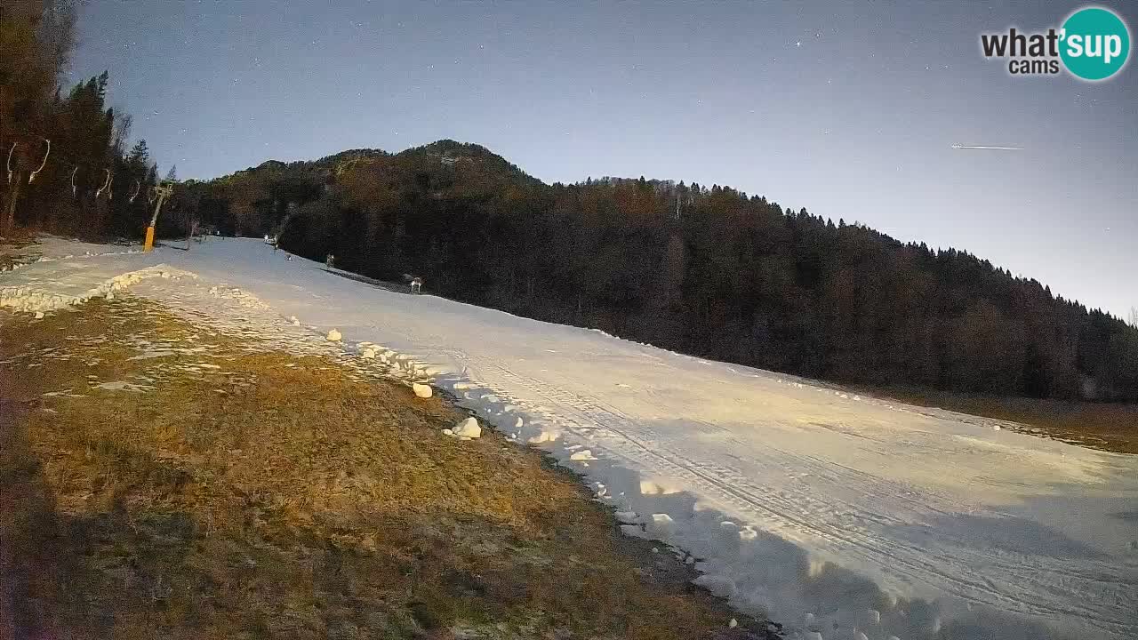 RTC Skigebiet Kranjska Gora | Brsnina