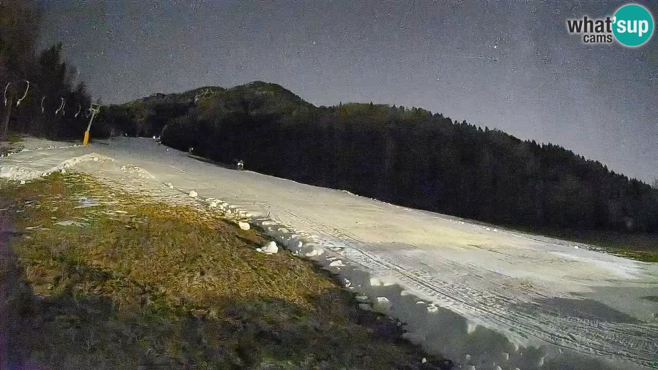 Comprensorio sciistico Kranjska Gora | Brsnina