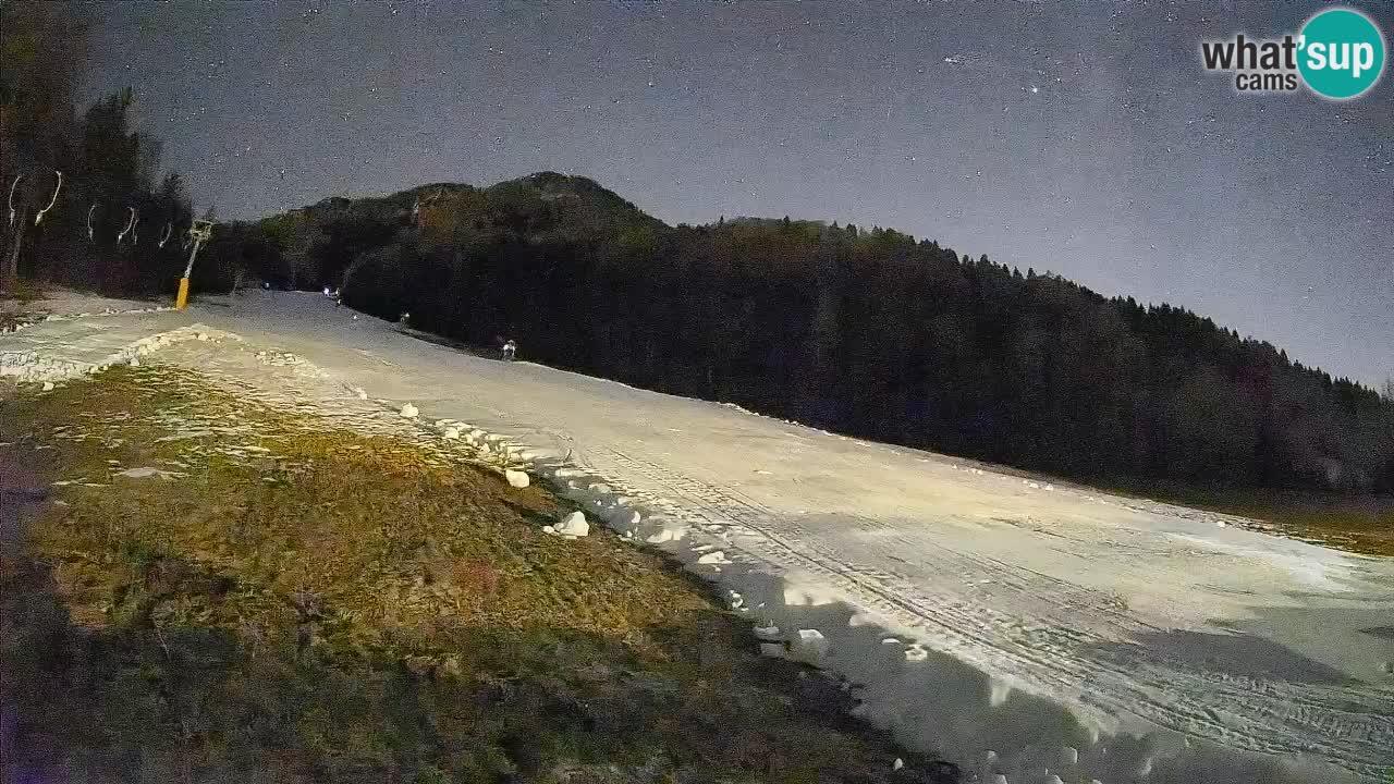 Comprensorio sciistico Kranjska Gora | Brsnina