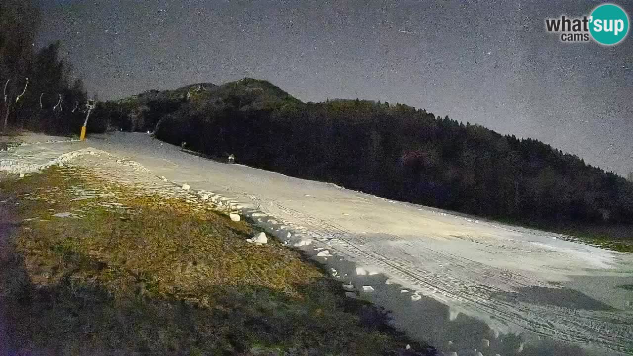 Ski Kranjska Gora | Brsnina