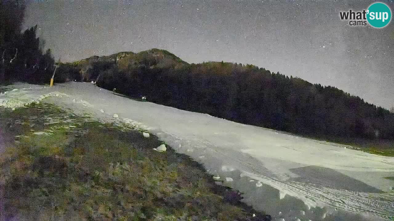 RTC Skigebiet Kranjska Gora | Brsnina