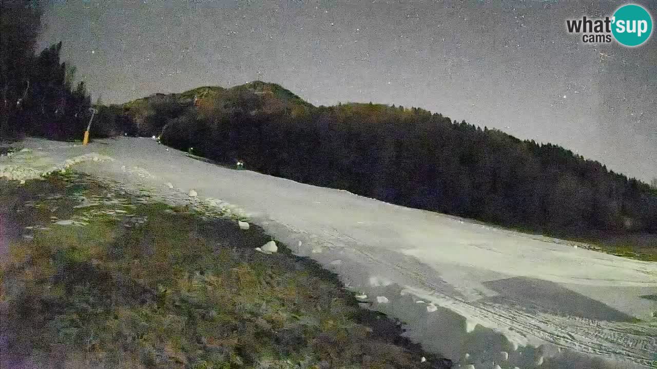 RTC Skigebiet Kranjska Gora | Brsnina