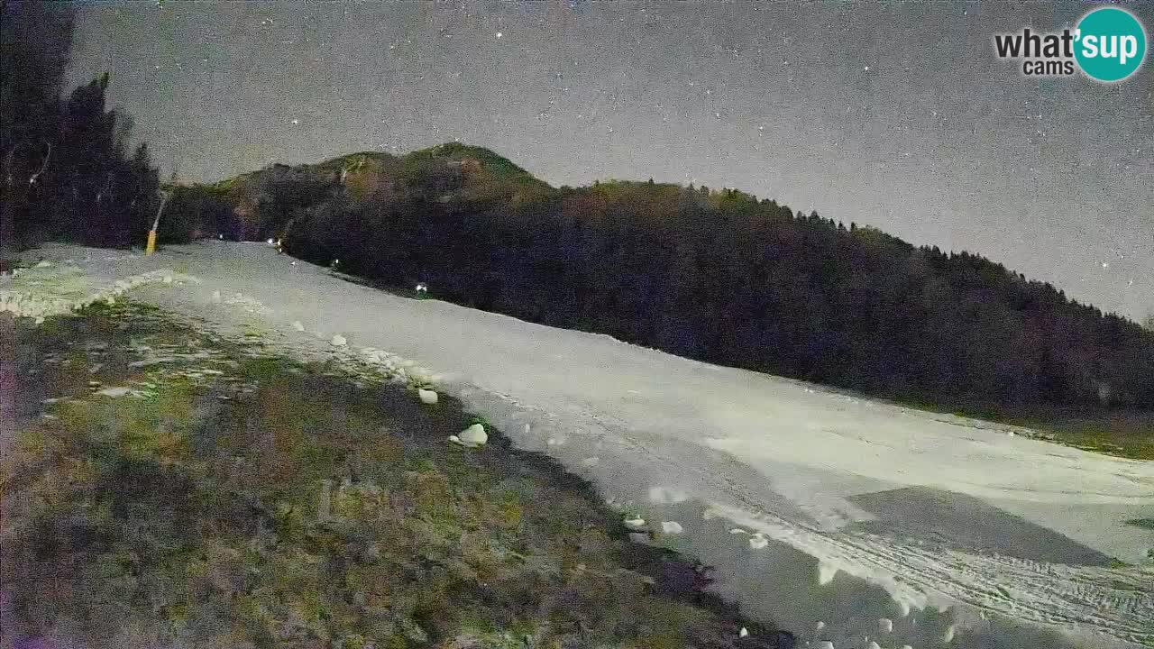 Ski Kranjska Gora | Brsnina