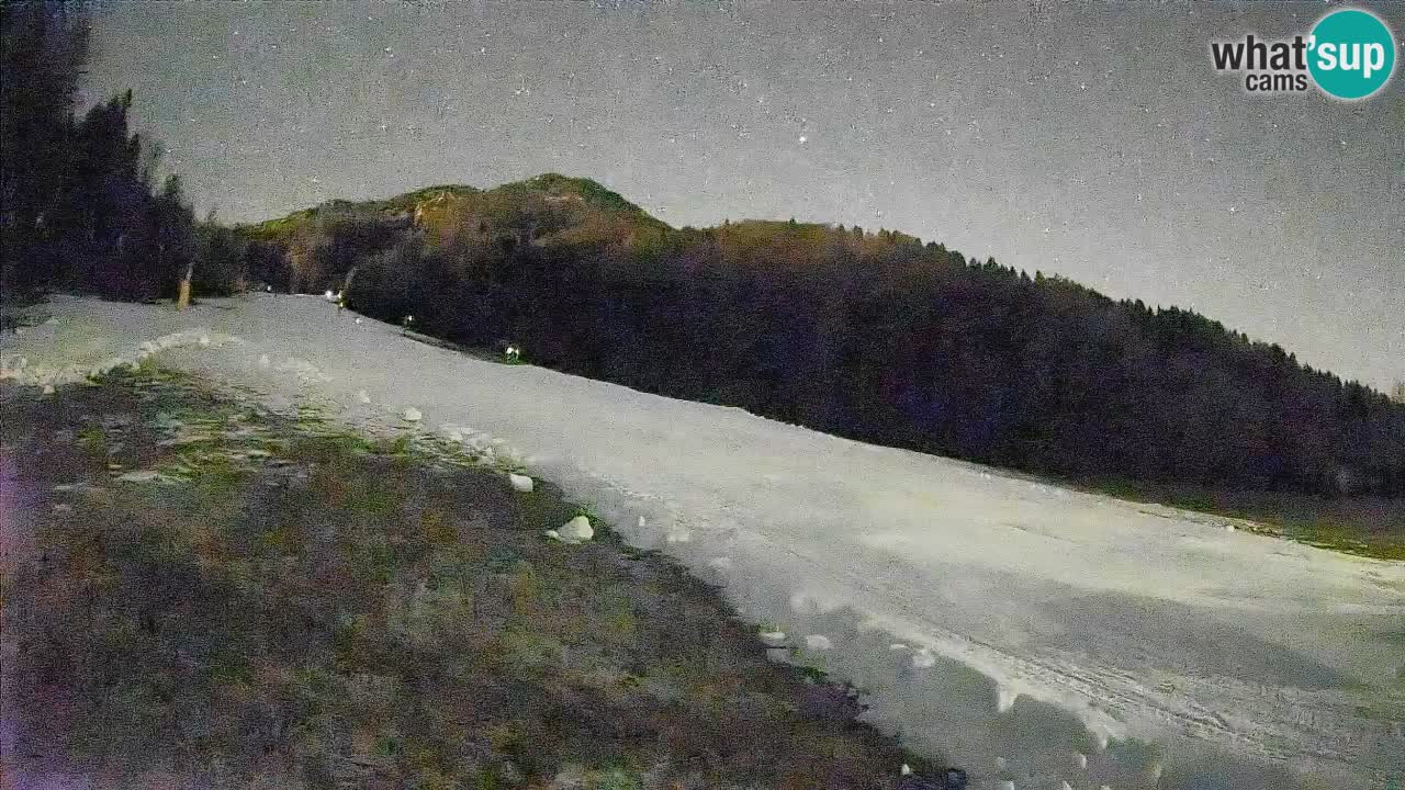 Kranjska Gora Station de ski | Brsnina