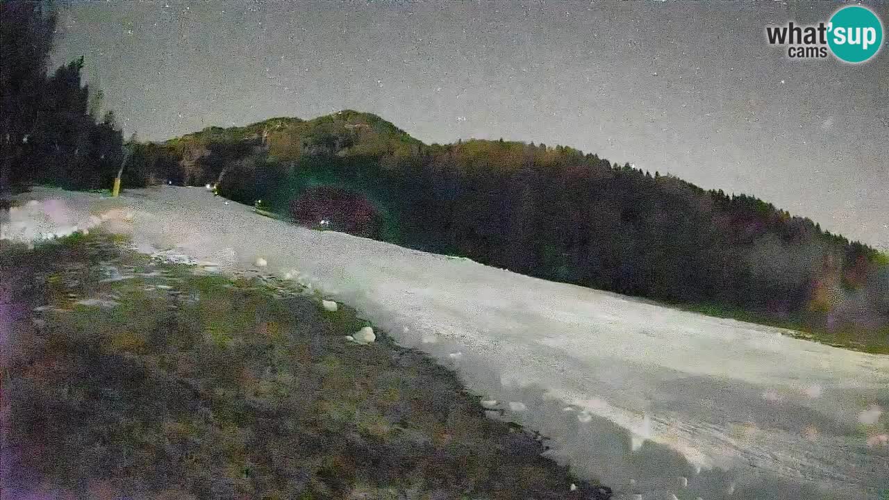 Comprensorio sciistico Kranjska Gora | Brsnina