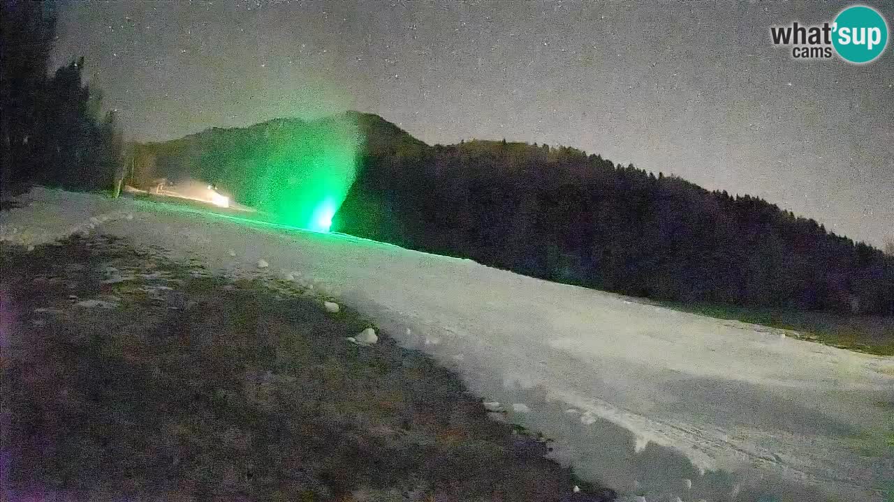 Ski Kranjska Gora | Brsnina