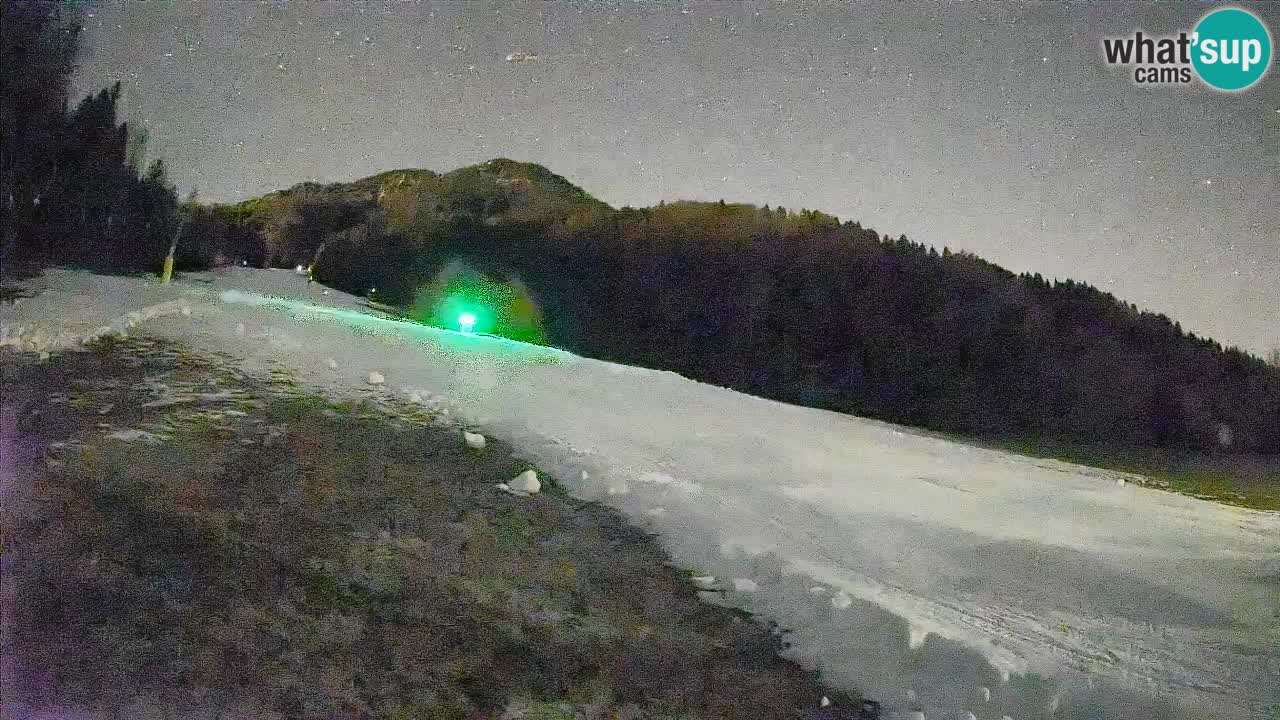 Ski Kranjska Gora | Brsnina