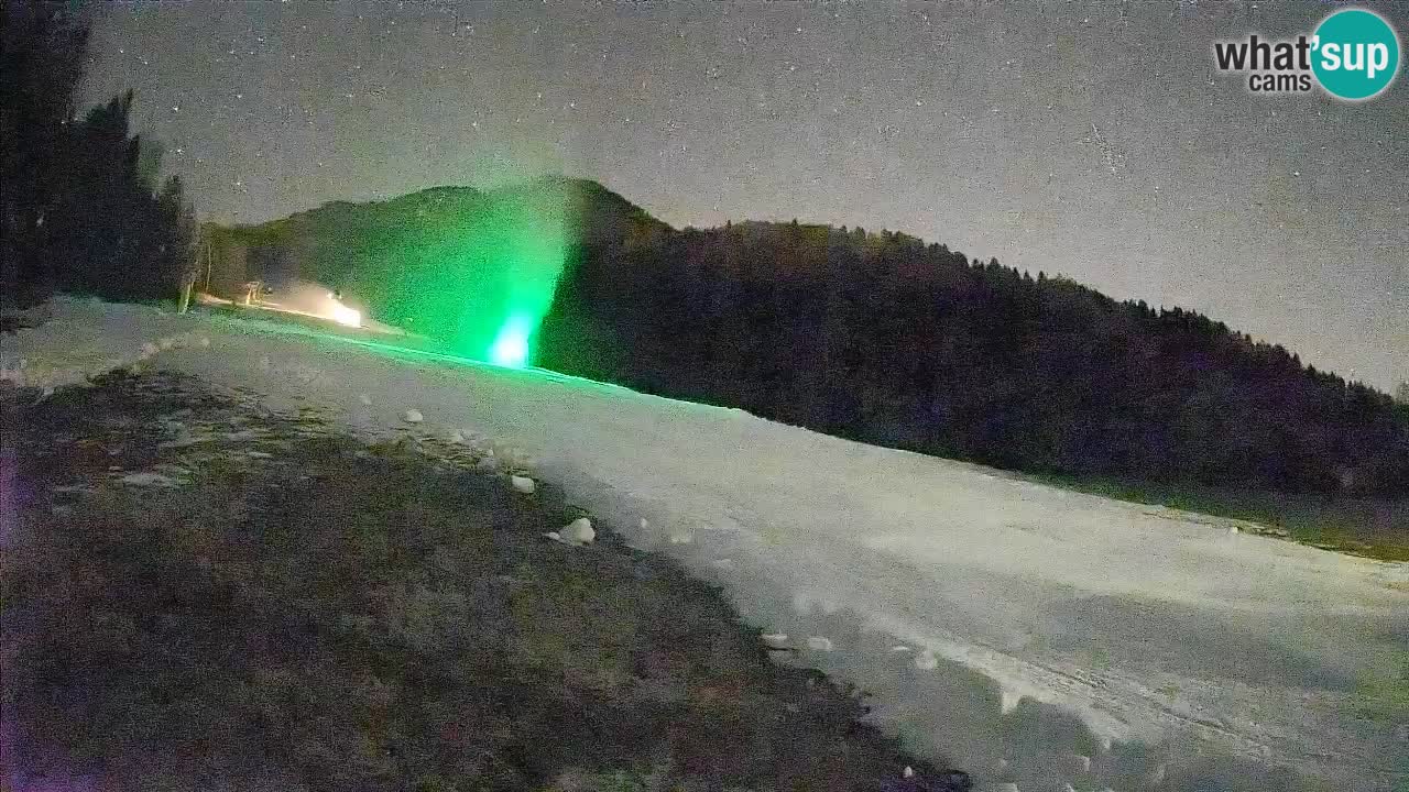 Ski Kranjska Gora | Brsnina