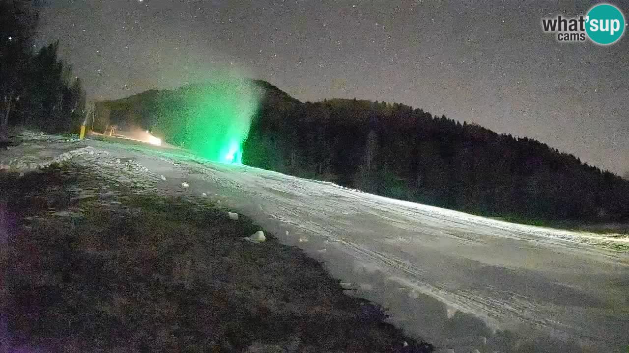 RTC Skigebiet Kranjska Gora | Brsnina