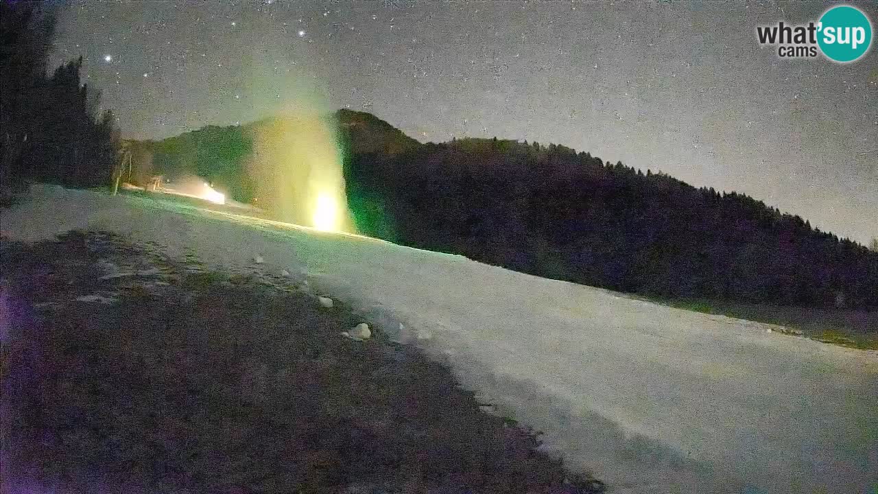 Ski Kranjska Gora | Brsnina