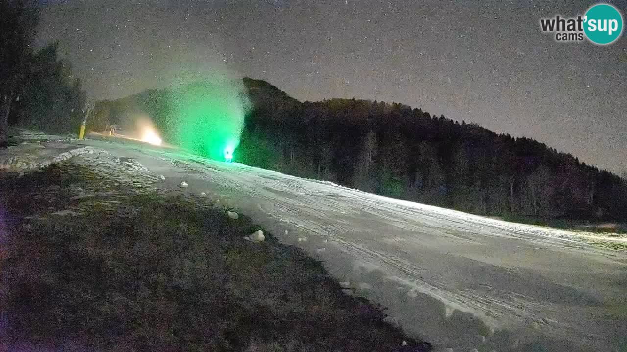 Kranjska Gora Station de ski | Brsnina