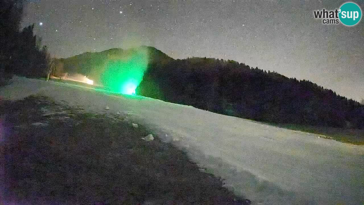 Esquí Kranjska Gora | Brsnina