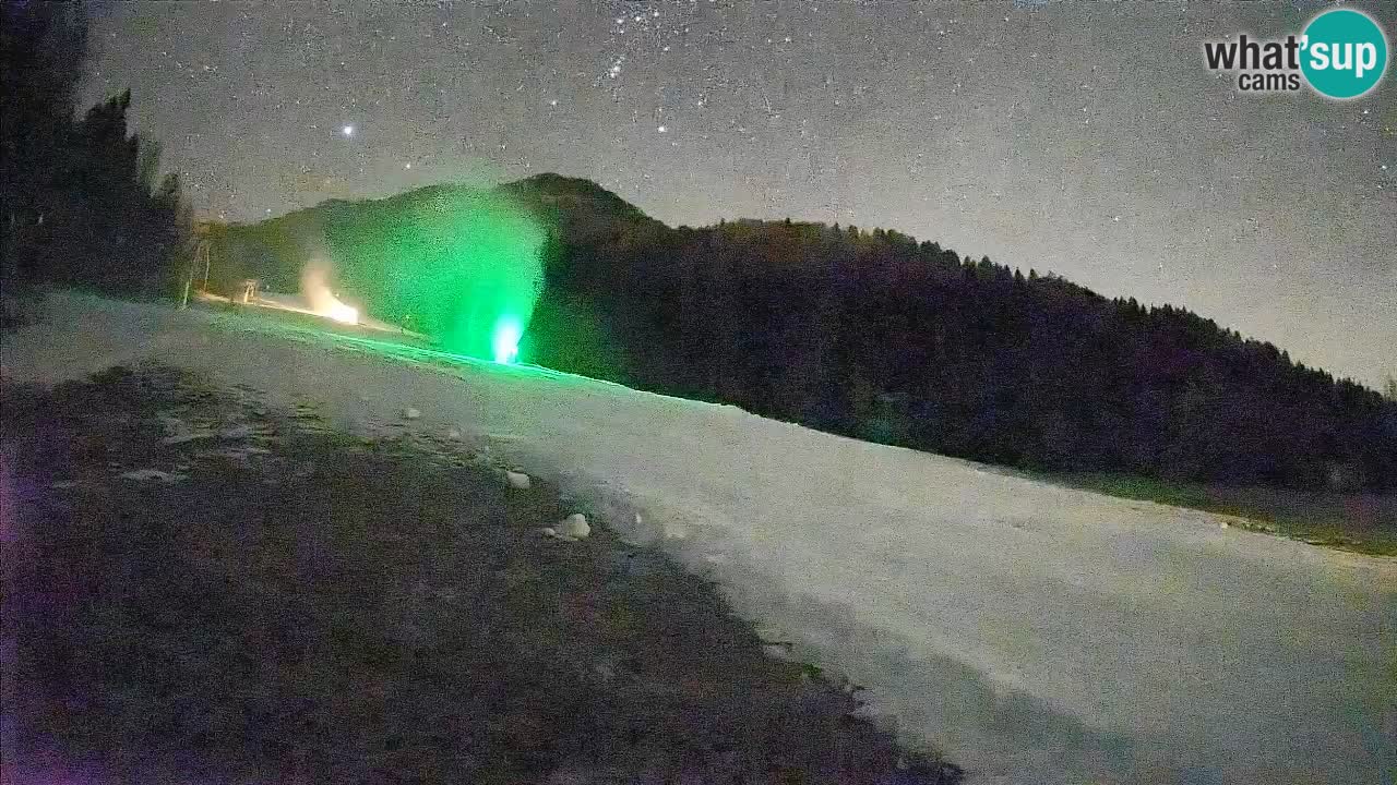 Ski Kranjska Gora | Brsnina