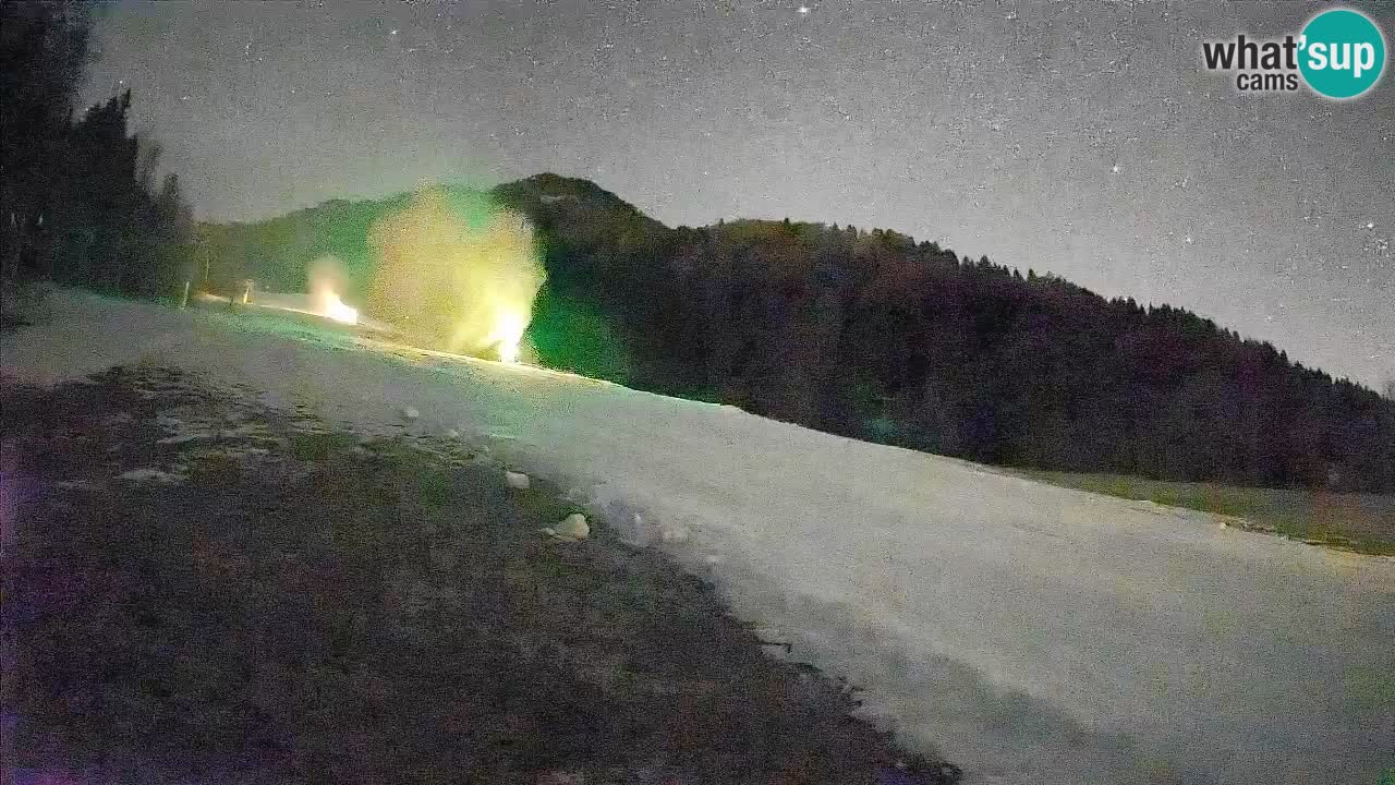 RTC Skigebiet Kranjska Gora | Brsnina