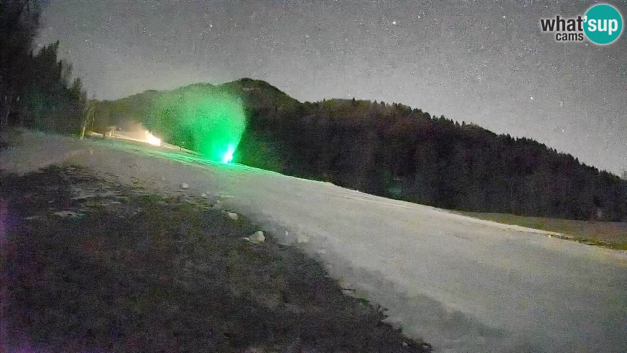 Ski Kranjska Gora | Brsnina