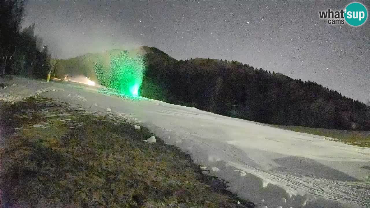 Ski Kranjska Gora | Brsnina