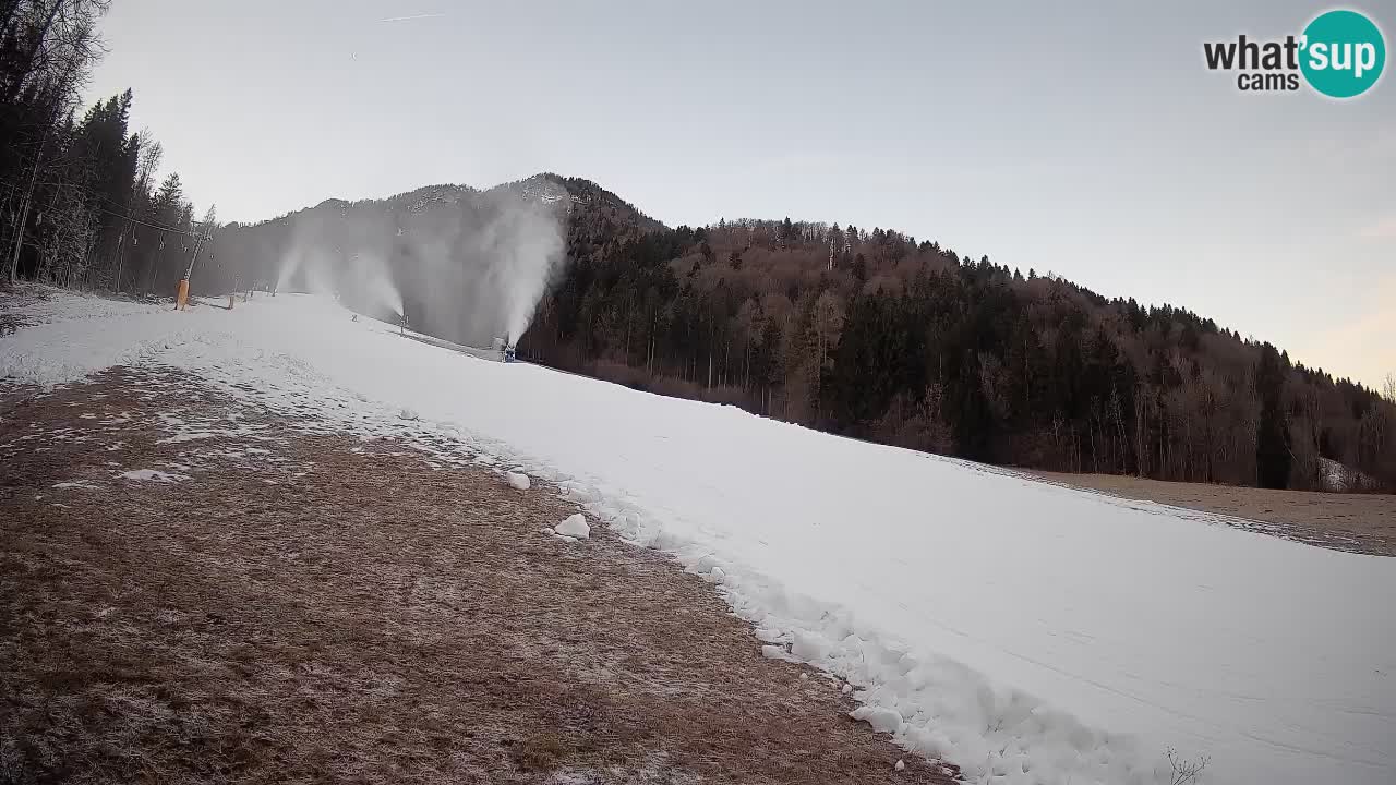 Comprensorio sciistico Kranjska Gora | Brsnina