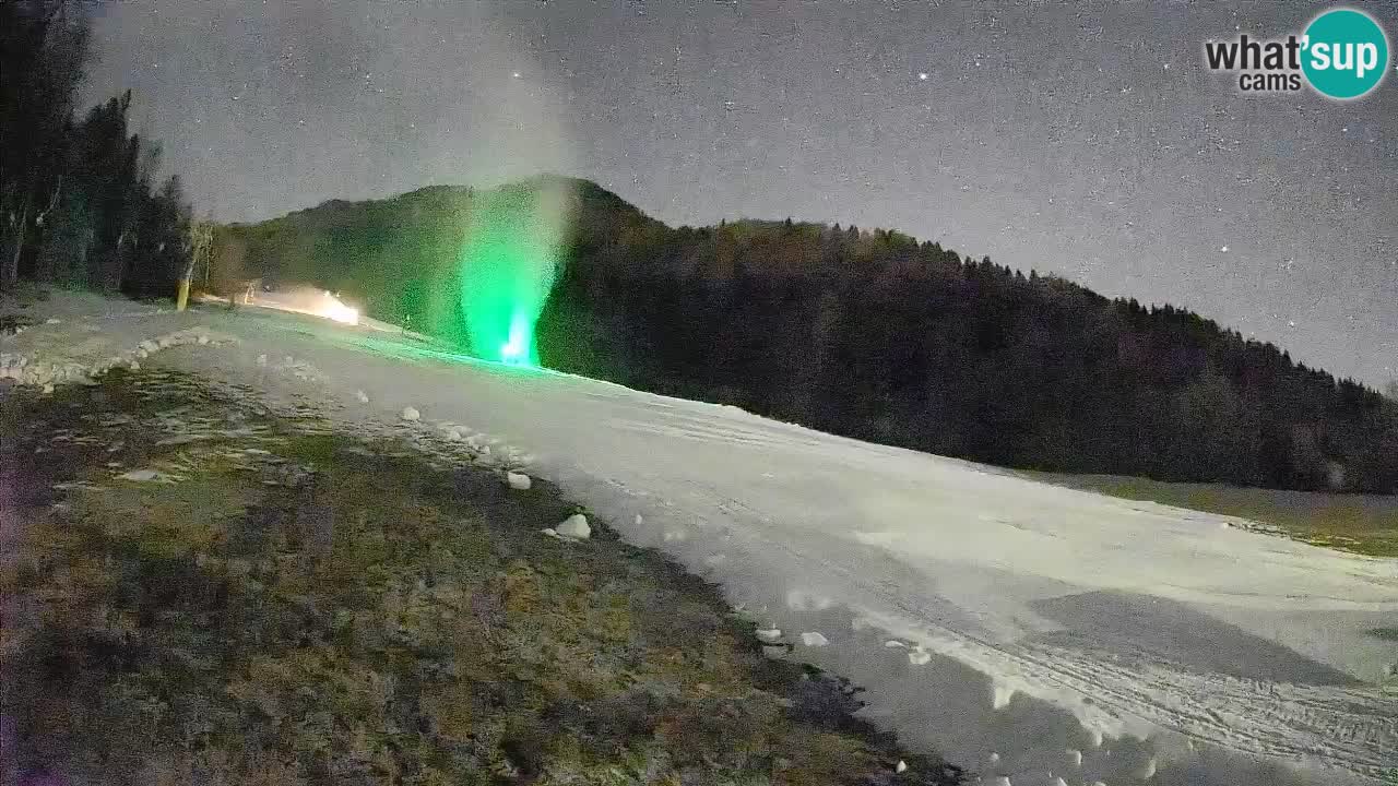 Kranjska Gora Station de ski | Brsnina