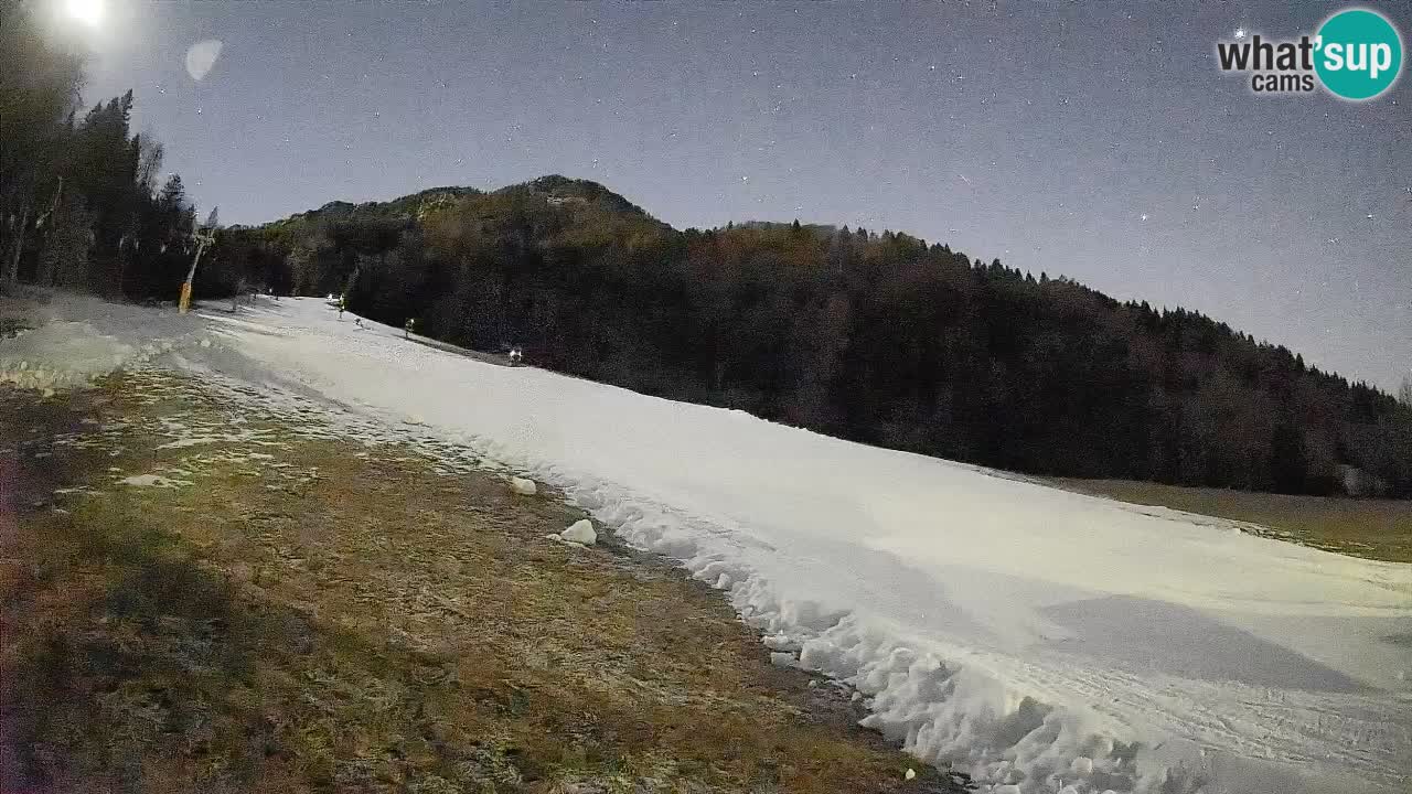 RTC Kranjska Gora | Brsnina