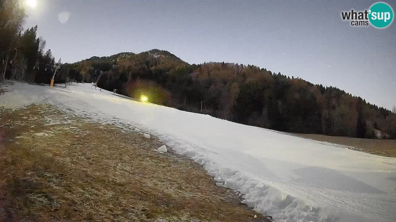 RTC Kranjska Gora | Brsnina