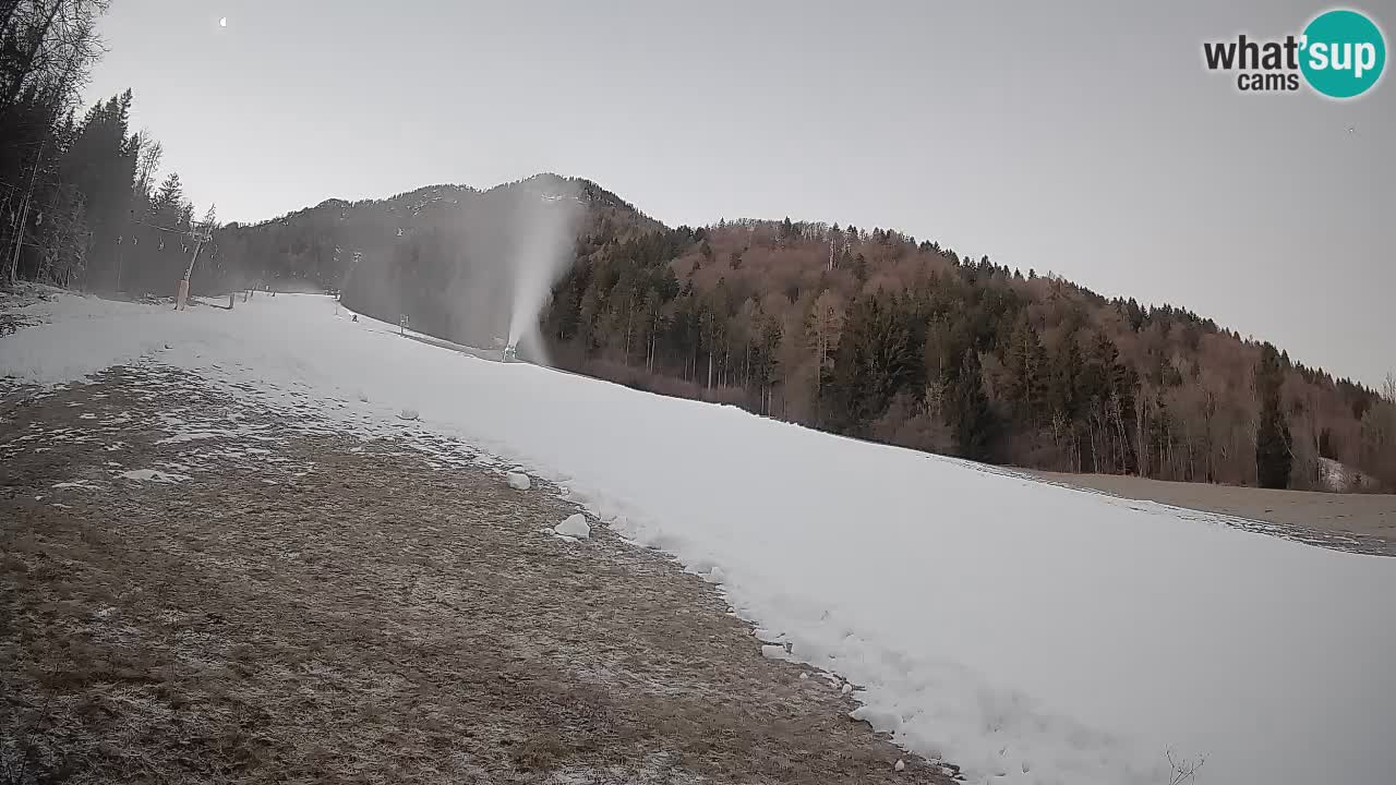 Comprensorio sciistico Kranjska Gora | Brsnina