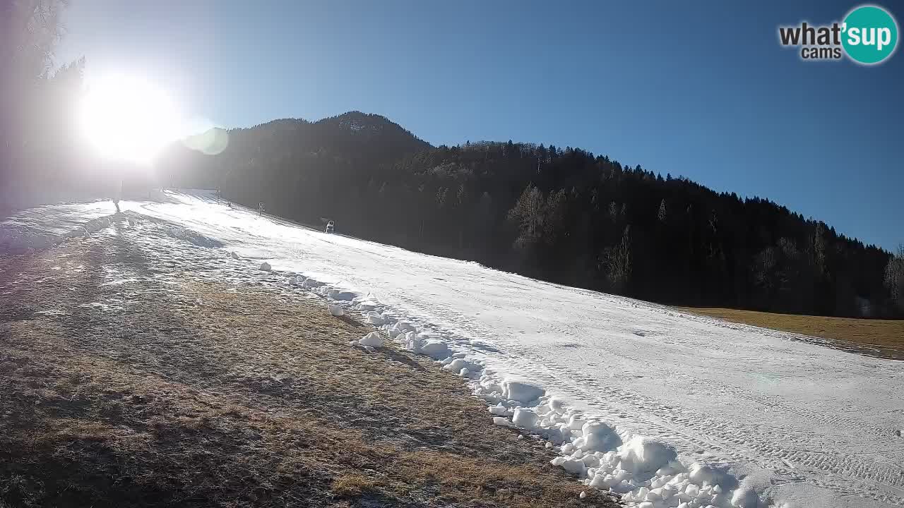 Ski Kranjska Gora | Brsnina
