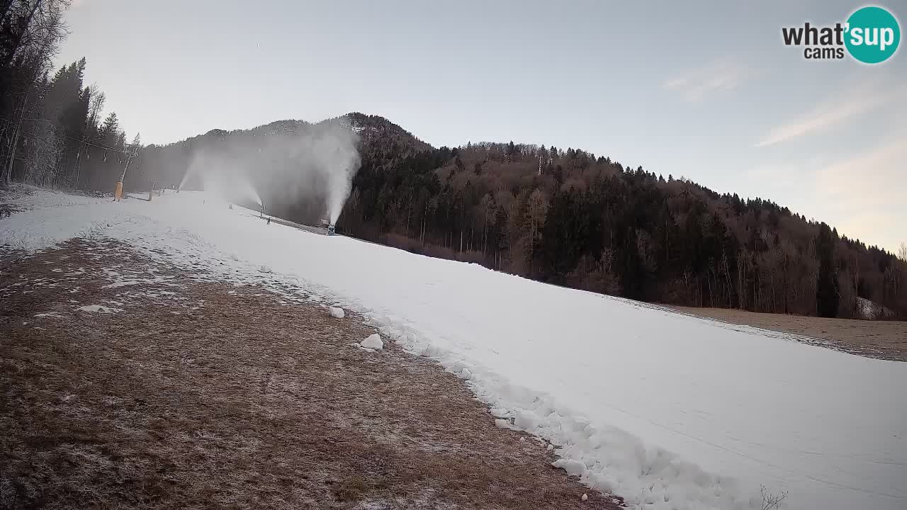 Comprensorio sciistico Kranjska Gora | Brsnina
