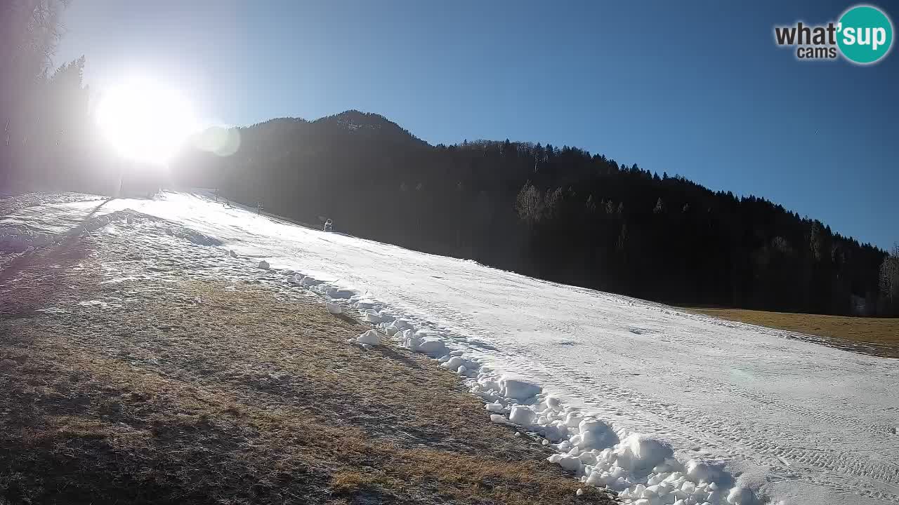 Comprensorio sciistico Kranjska Gora | Brsnina