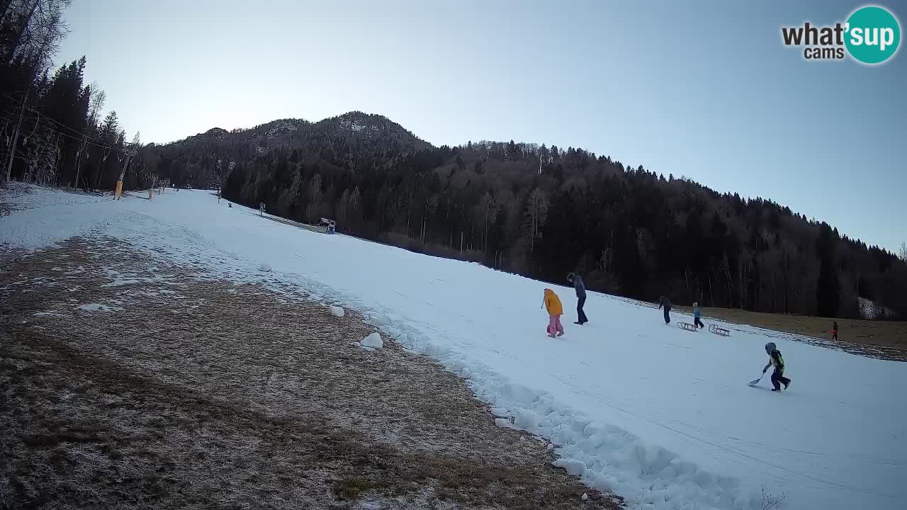 Kranjska Gora Station de ski | Brsnina