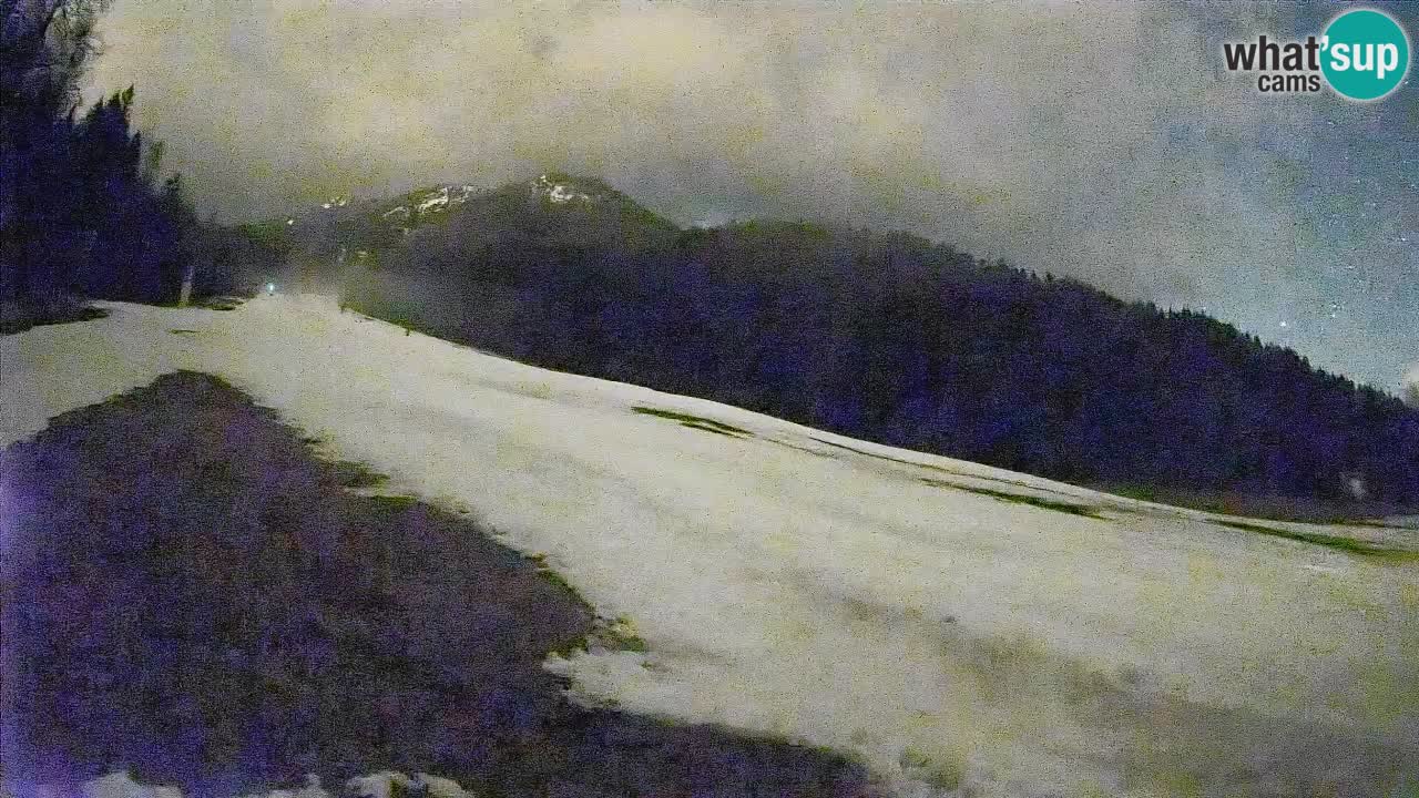 Ski Kranjska Gora | Brsnina