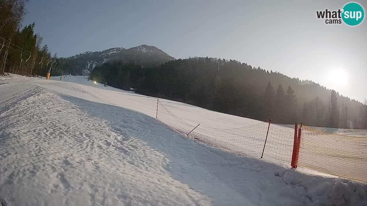 RTC Kranjska Gora | Brsnina