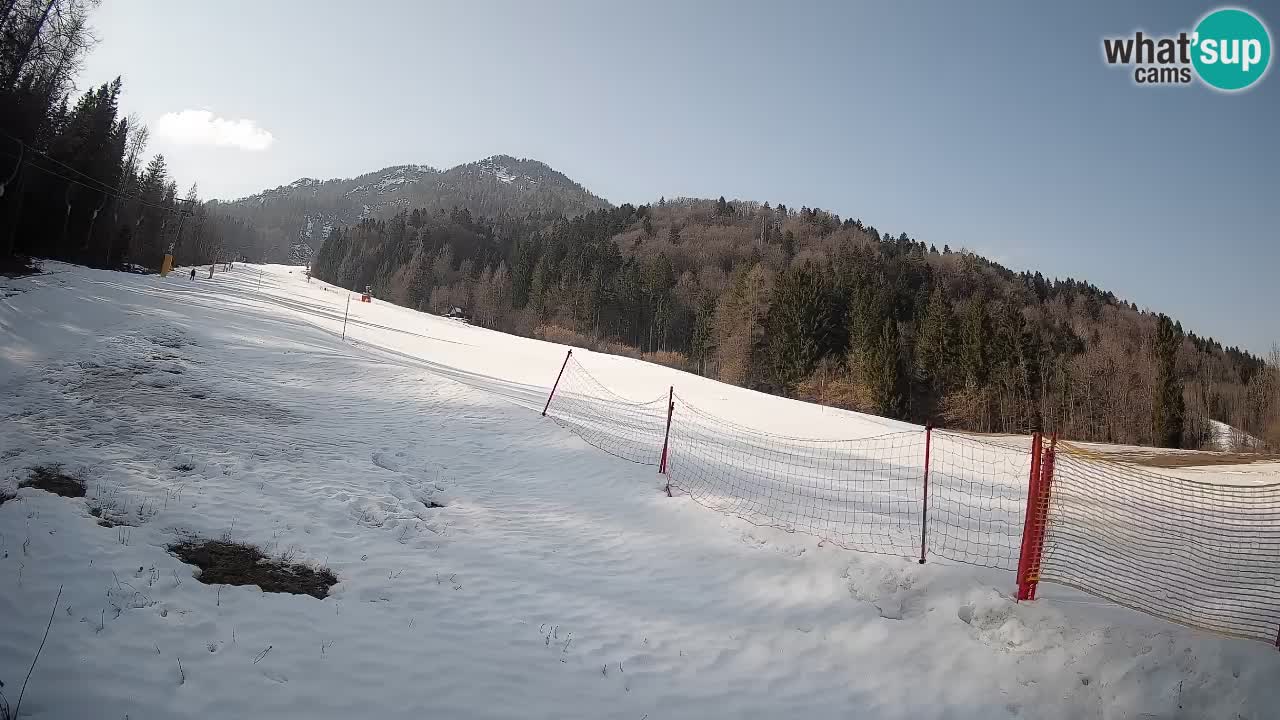 Kranjska Gora SKIJANJE | Brsnina