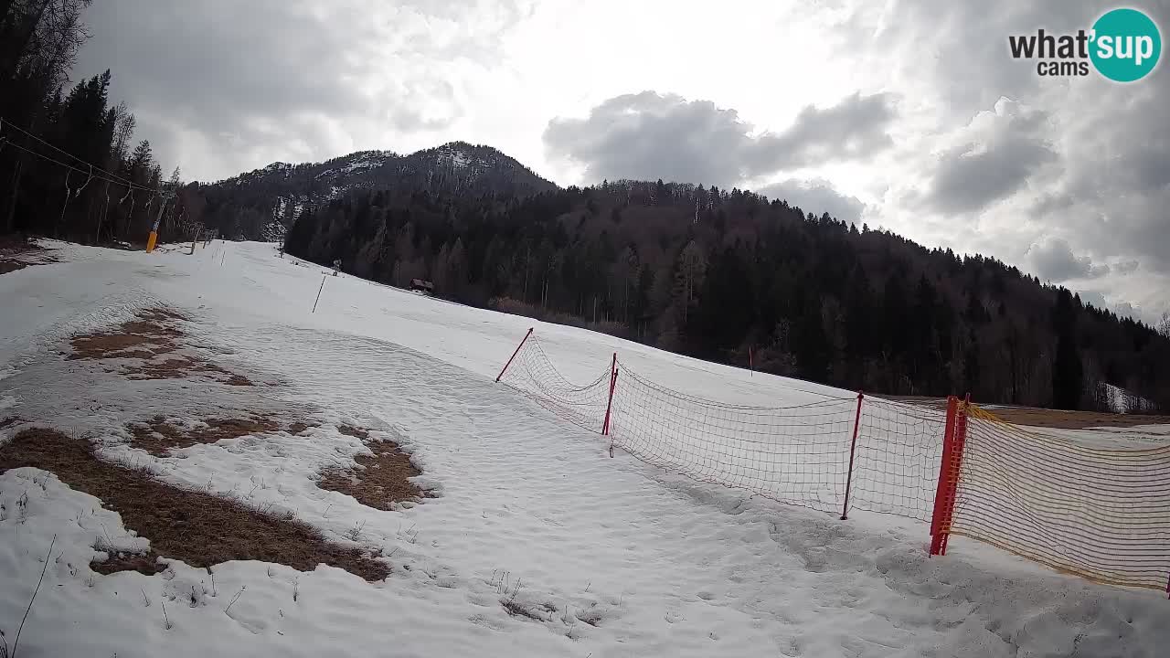 Kranjska Gora Station de ski | Brsnina