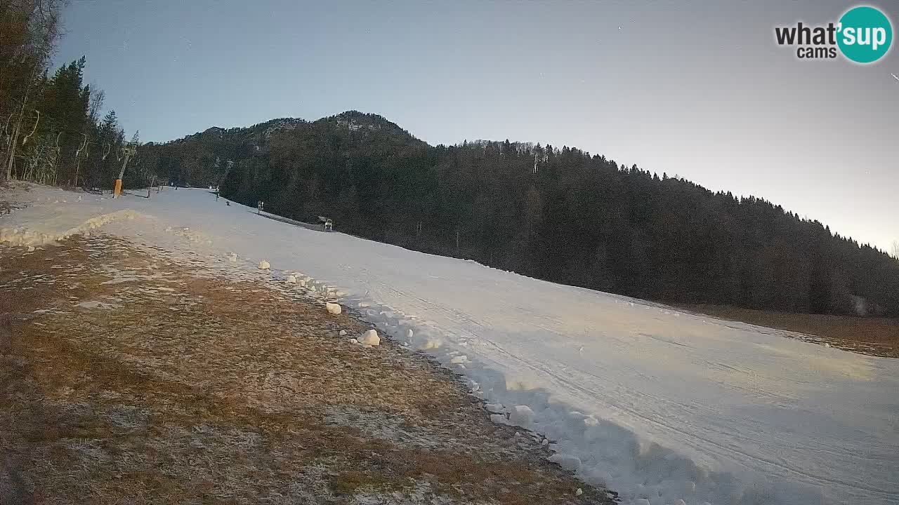 Ski Kranjska Gora | Brsnina