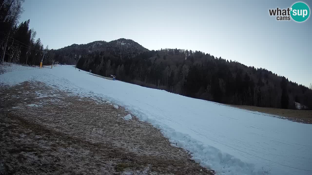 Ski Kranjska Gora | Brsnina