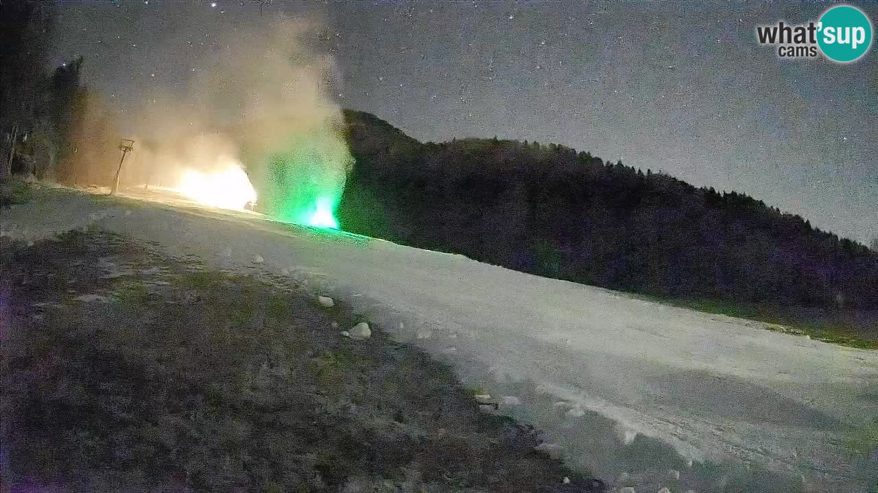 Ski Kranjska Gora | Brsnina