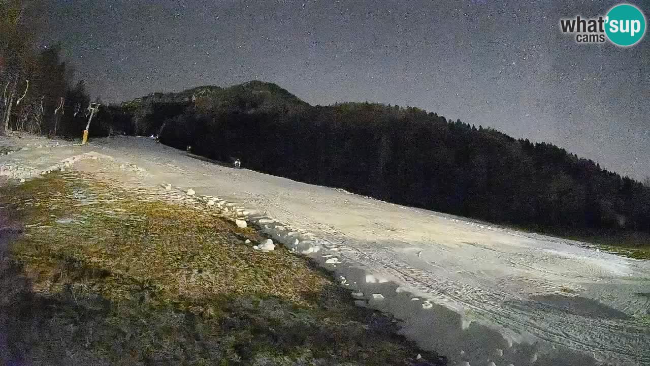 Ski Kranjska Gora | Brsnina