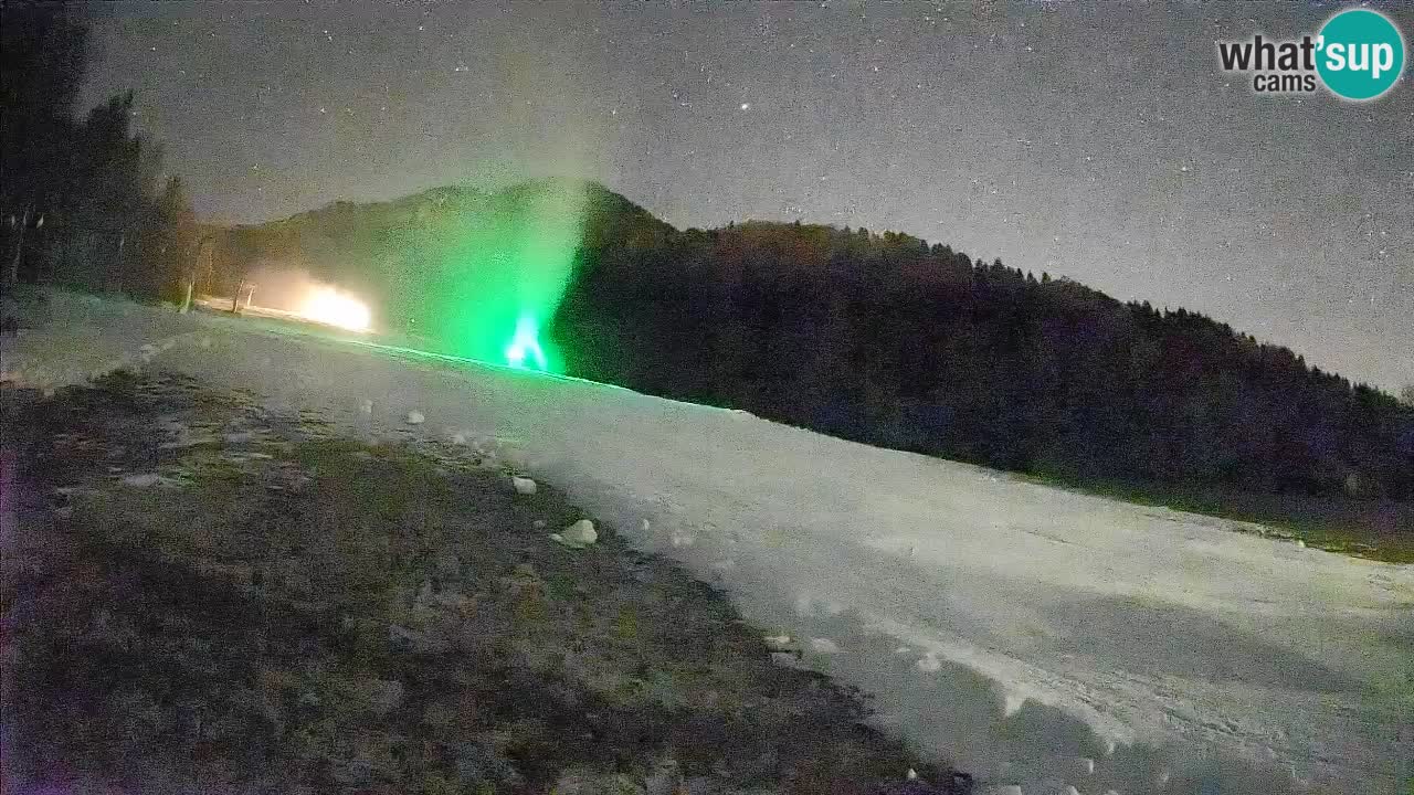 Ski Kranjska Gora | Brsnina