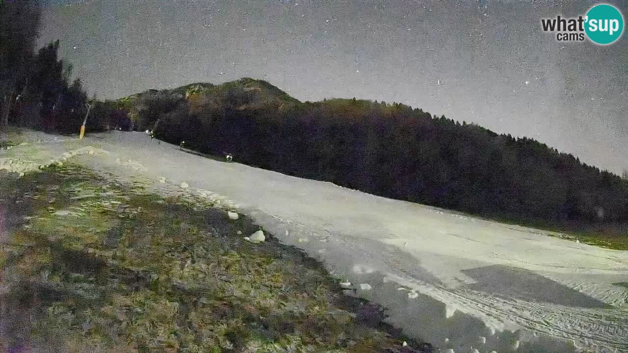 Comprensorio sciistico Kranjska Gora | Brsnina