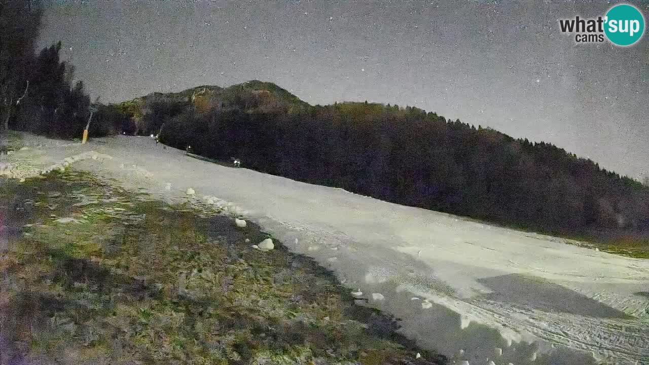 Comprensorio sciistico Kranjska Gora | Brsnina