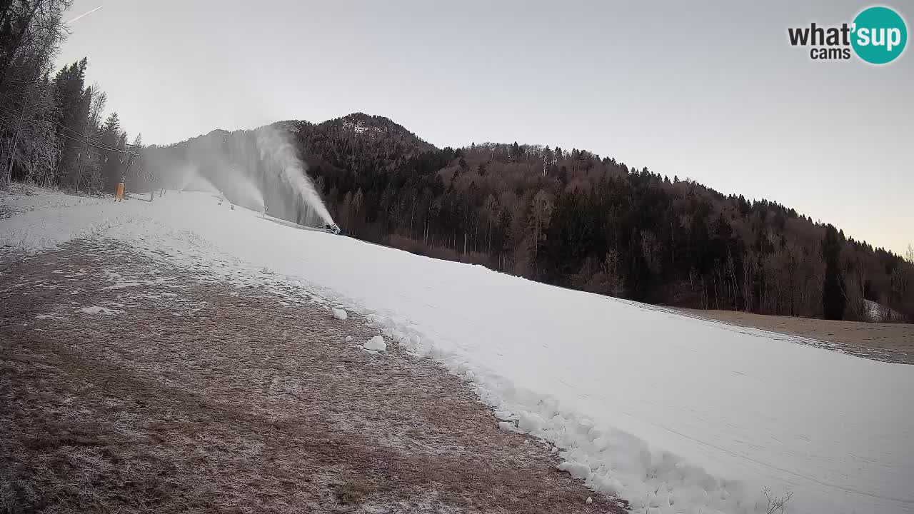 Esquí Kranjska Gora | Brsnina