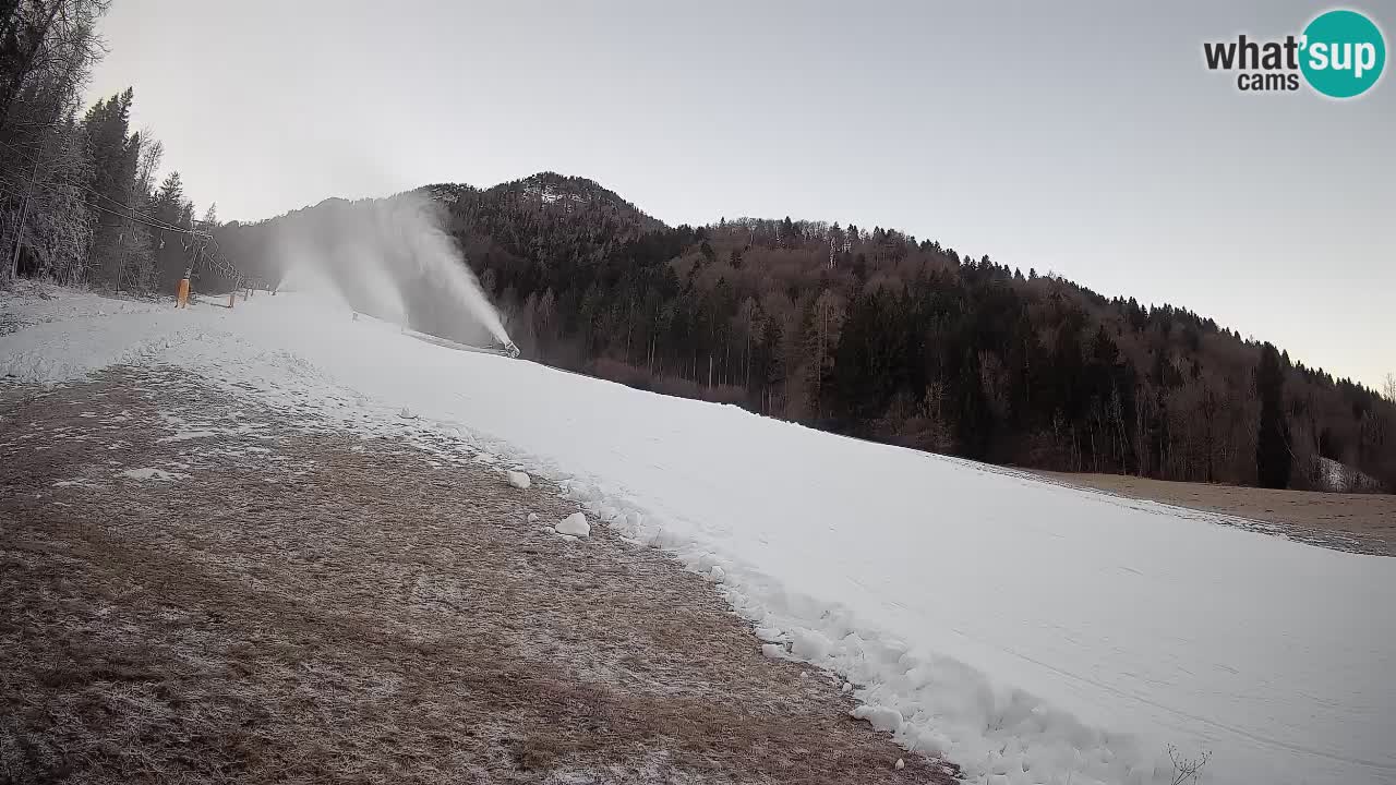 RTC Kranjska Gora | Brsnina