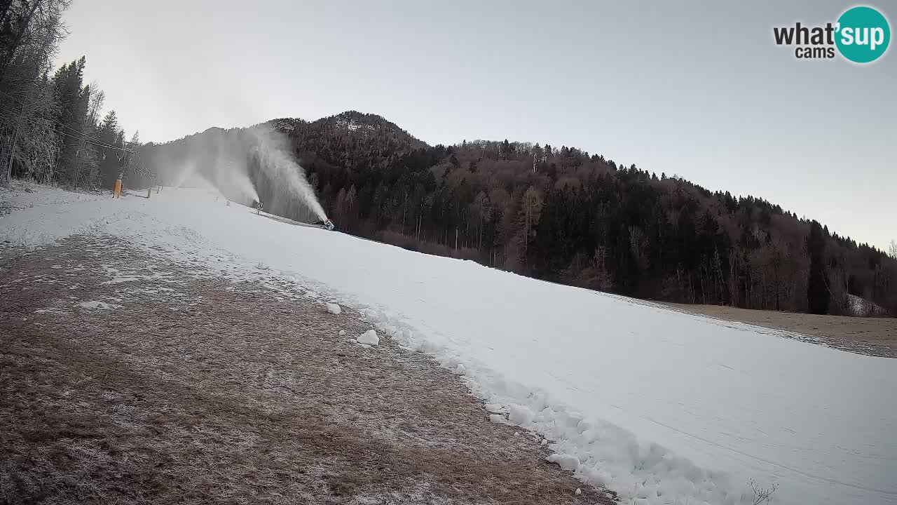 Kranjska Gora SKIJANJE | Brsnina