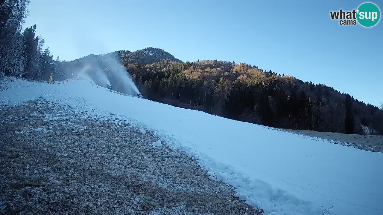 Kranjska Gora Station de ski | Brsnina