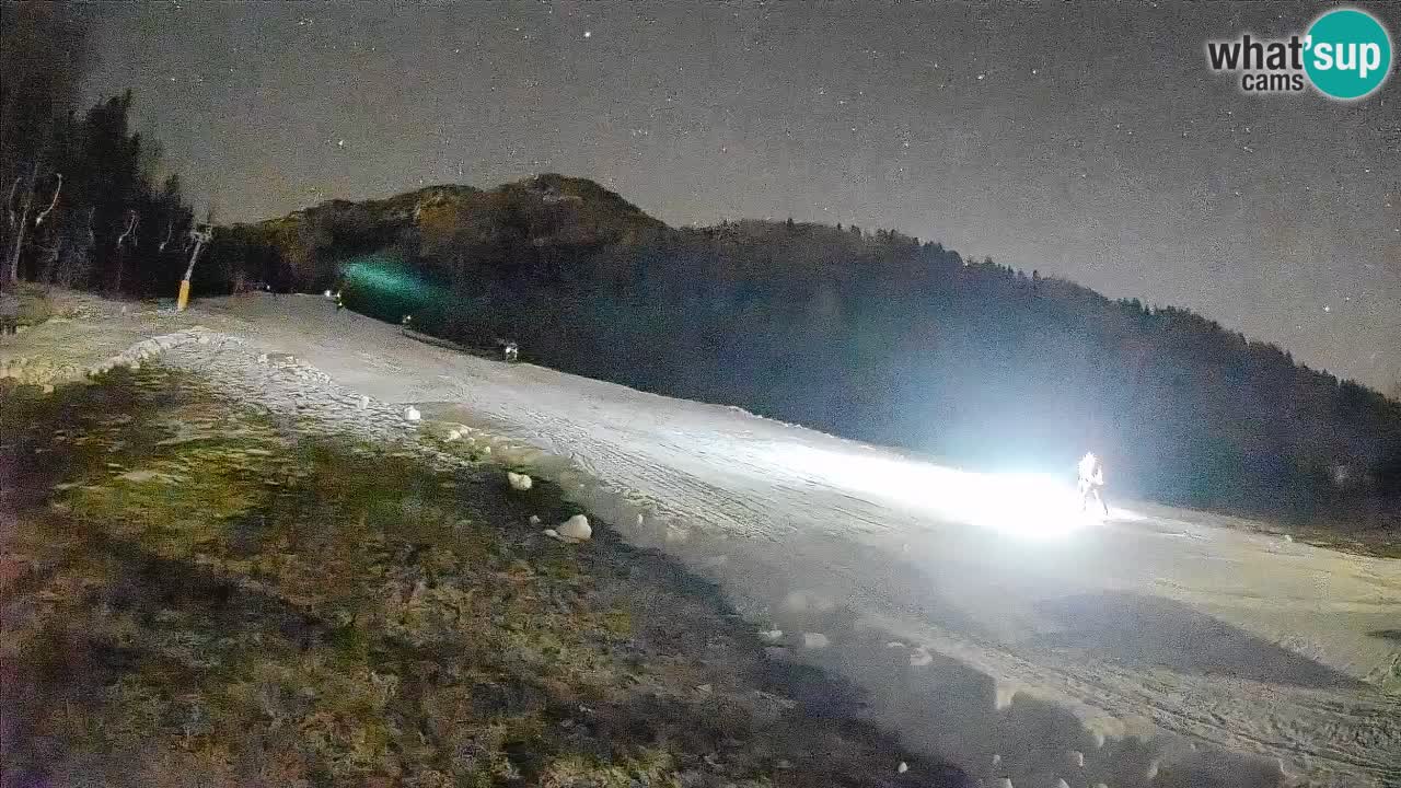 RTC Skigebiet Kranjska Gora | Brsnina