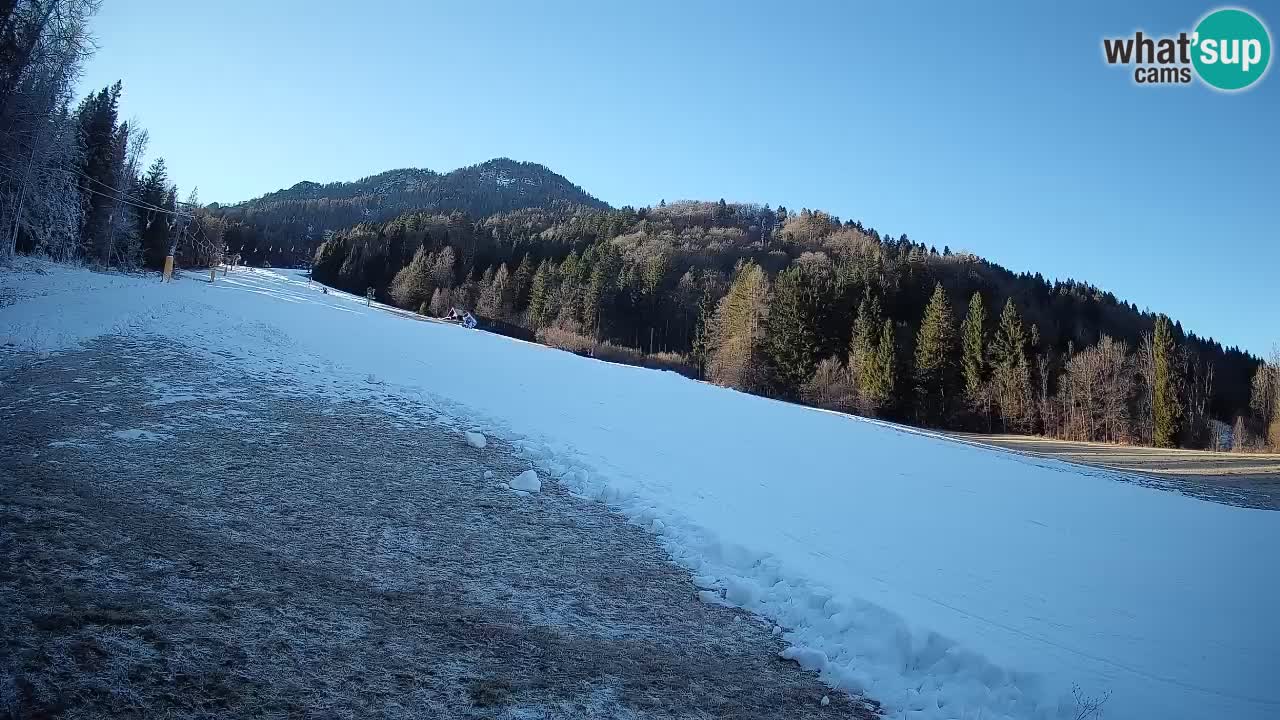 RTC Skigebiet Kranjska Gora | Brsnina