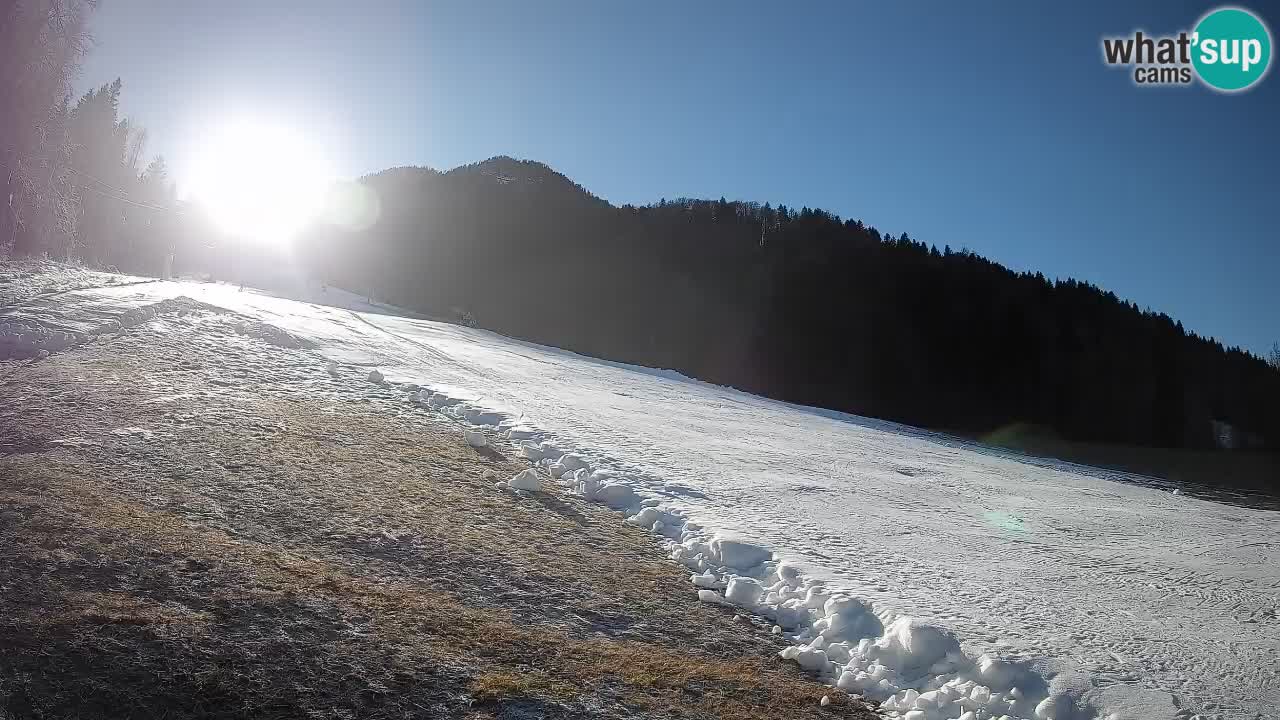 Kranjska Gora Station de ski | Brsnina