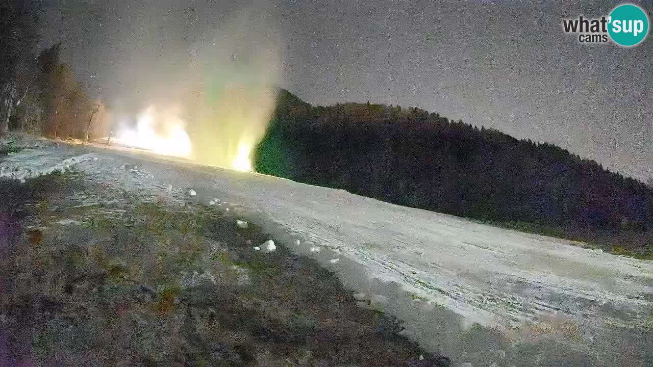 Ski Kranjska Gora | Brsnina