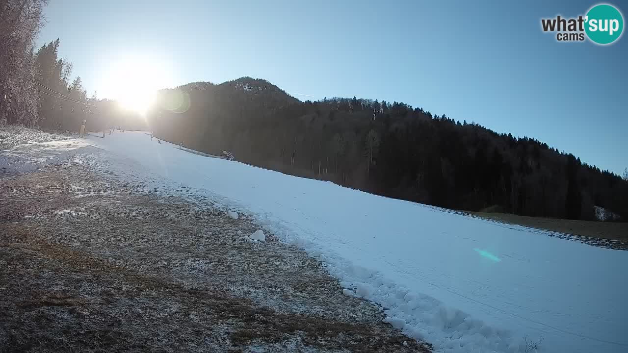 Comprensorio sciistico Kranjska Gora | Brsnina