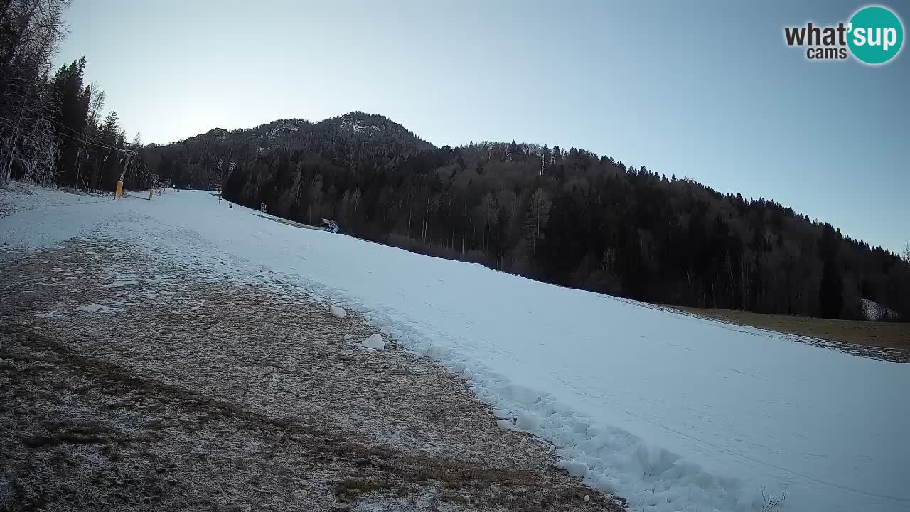 RTC Skigebiet Kranjska Gora | Brsnina